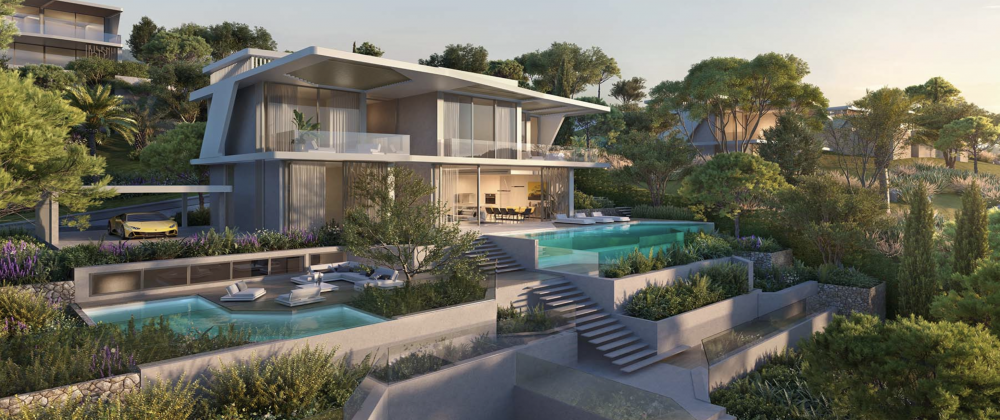 International partner property through ADVSR